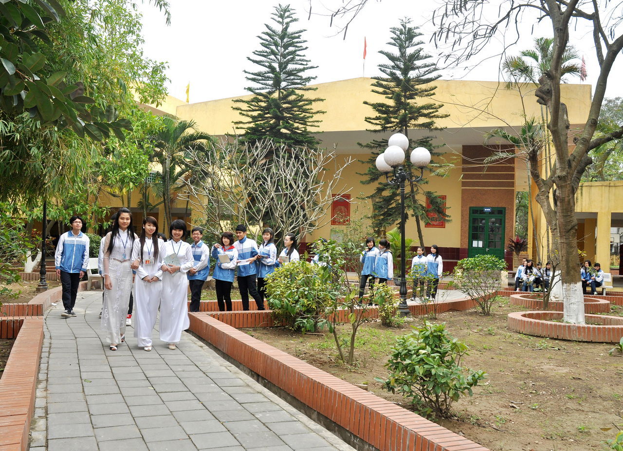 hoi_truong